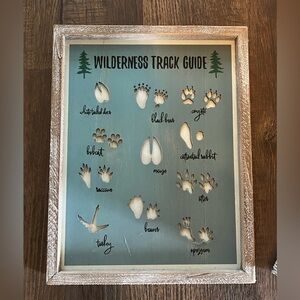 Wilderness Track Guide Framed Wall Art - sage green